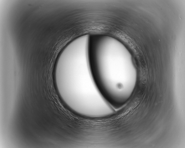X0000098230481200804241204