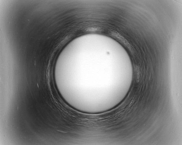 X0000098230482200804241204