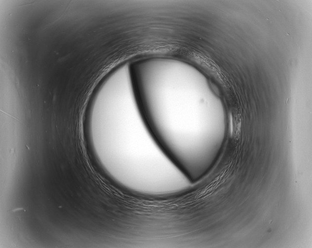 X0000098230483200804241204