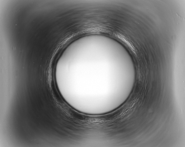 X0000098230486200804241204