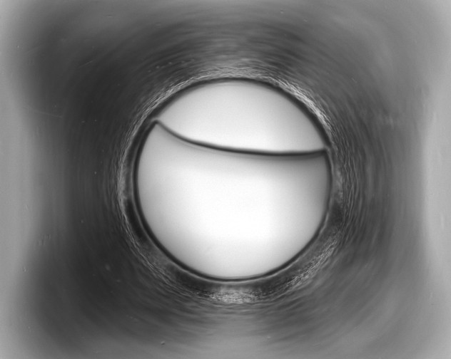 X0000098230487200804241204