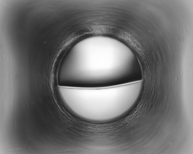 X0000098230488200804241204