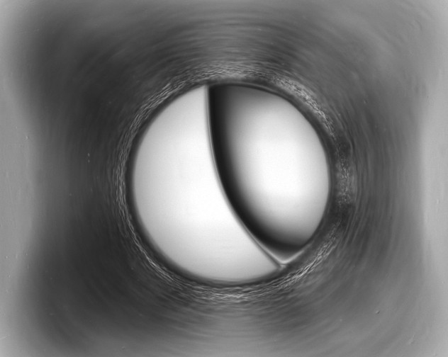X0000098230489200804241204