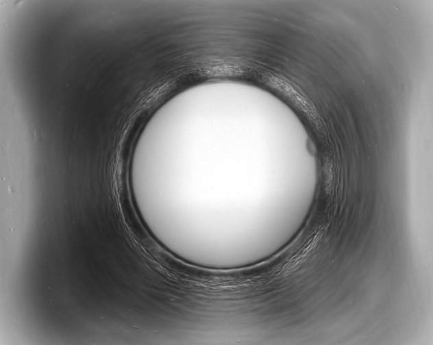 X0000098230490200804241204