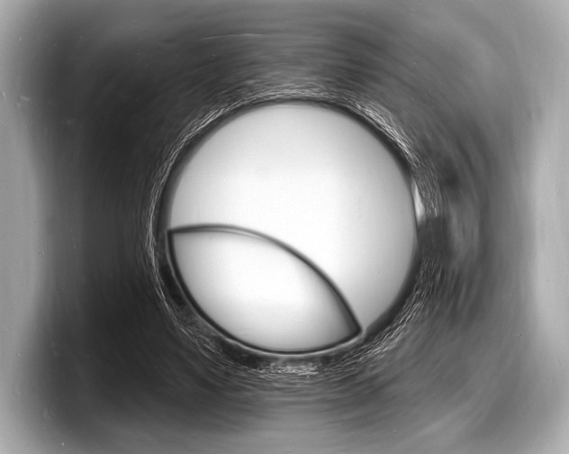 X0000098230491200804241204