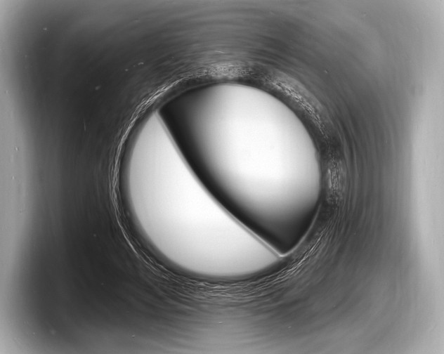 X0000098230492200804241204