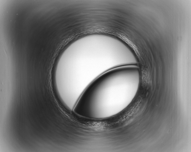 X0000098230493200804241204