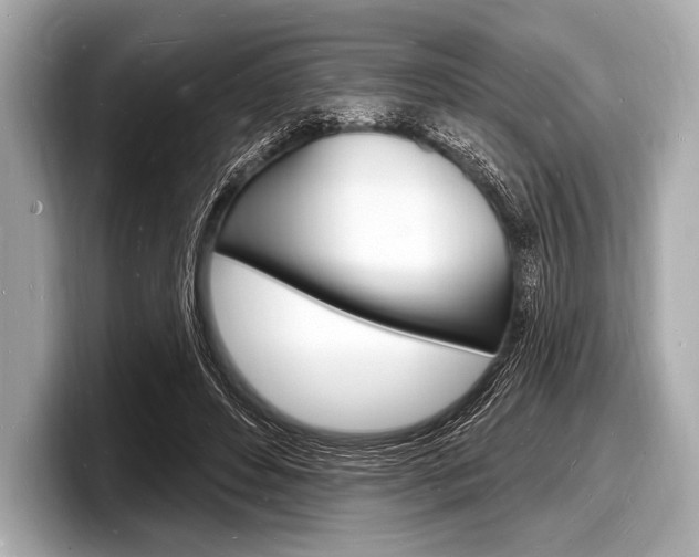 X0000098230496200804241204