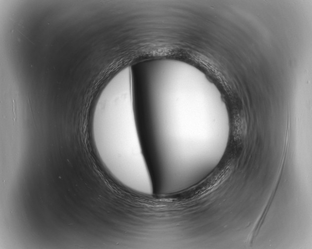 X0000098230497200804241204