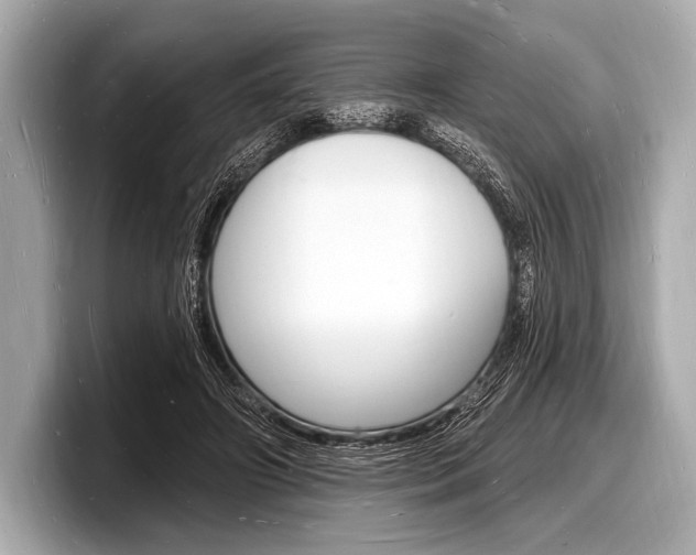 X0000098230498200804241204