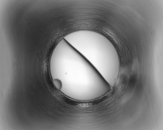 X0000098230499200804241204