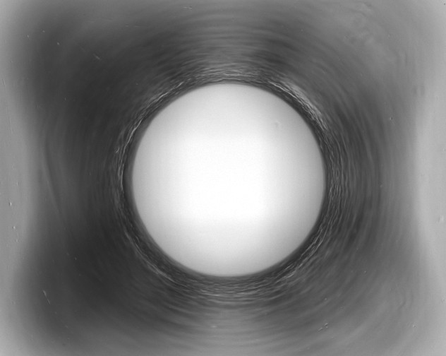 X0000098230500200804241204