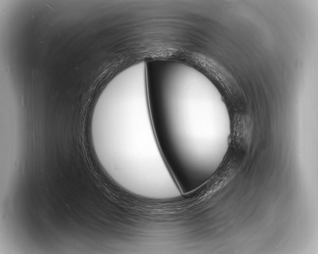 X0000098230501200804241204