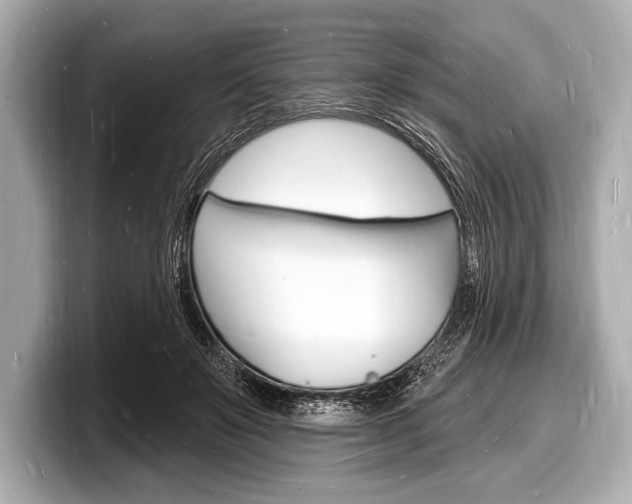 X0000098230503200804241204