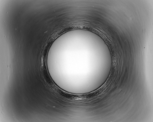 X0000098230504200804241204