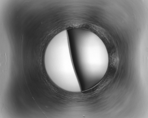 X0000098230505200804241204