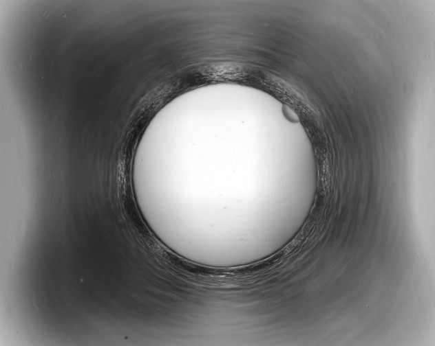 X0000098230506200804241204