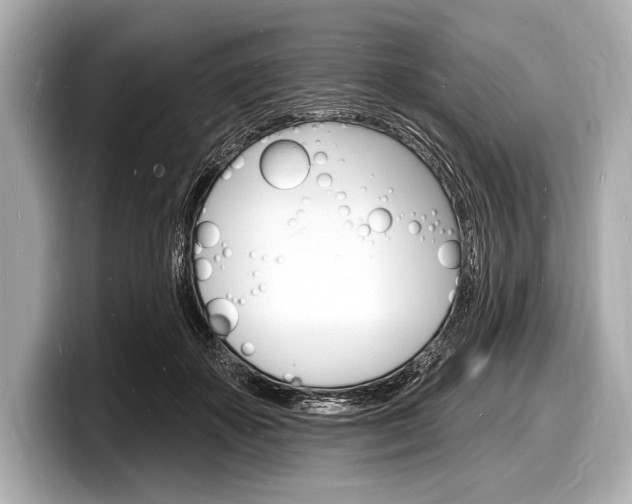 X0000098230507200804241204