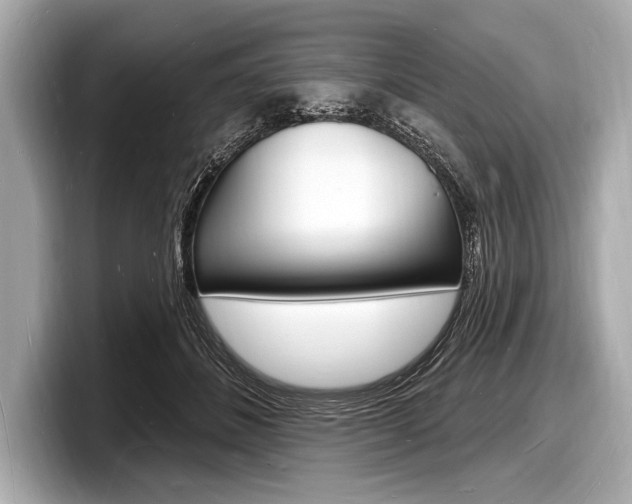 X0000098230508200804241204