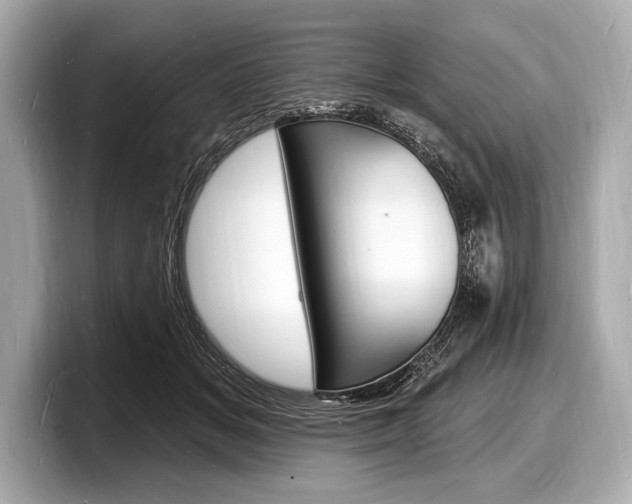 X0000098230509200804241204