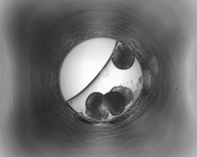 X0000098230511200804241204