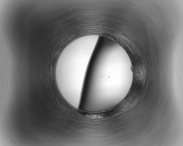 X0000098230512200804241204