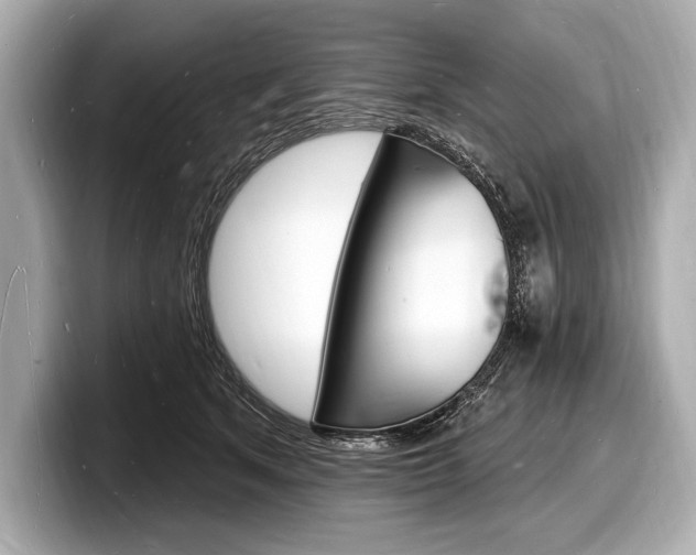 X0000098230513200804241204