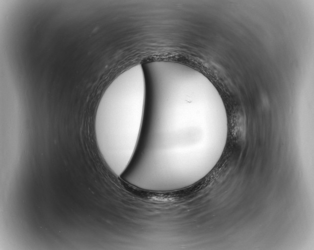 X0000098230515200804241204