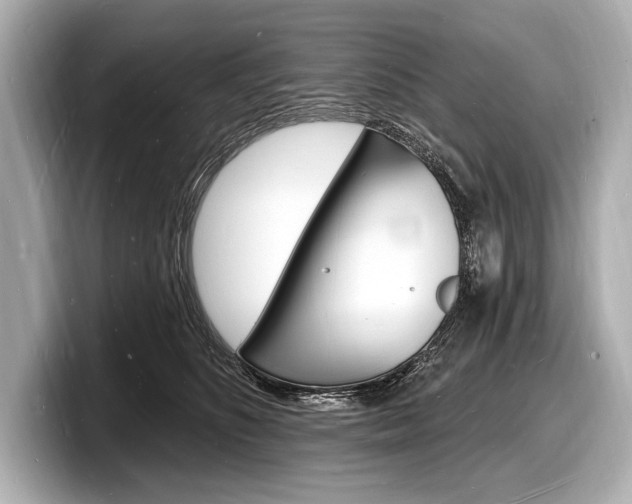 X0000098230516200804241204