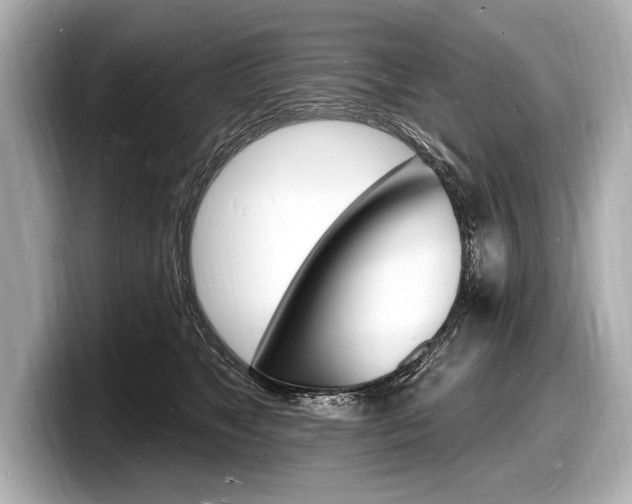 X0000098230517200804241204