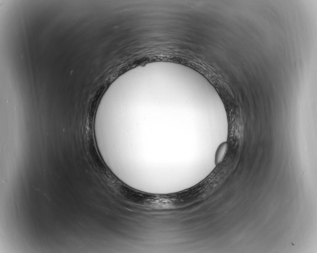 X0000098230518200804241204