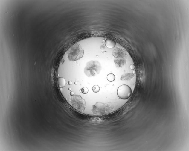 X0000098230519200804241204