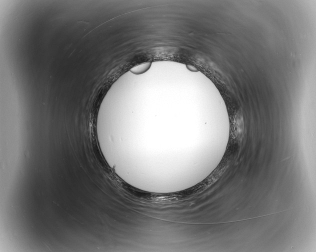 X0000098230522200804241204