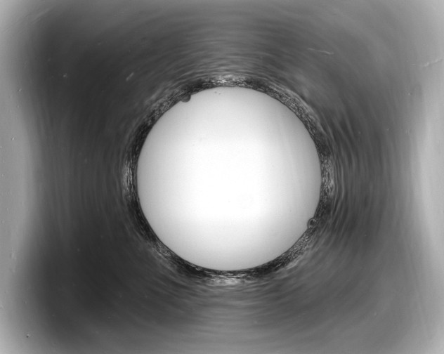 X0000098230523200804241204