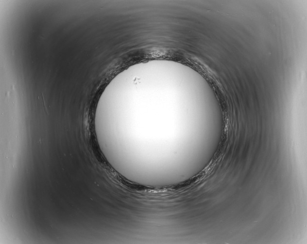 X0000098230524200804241204