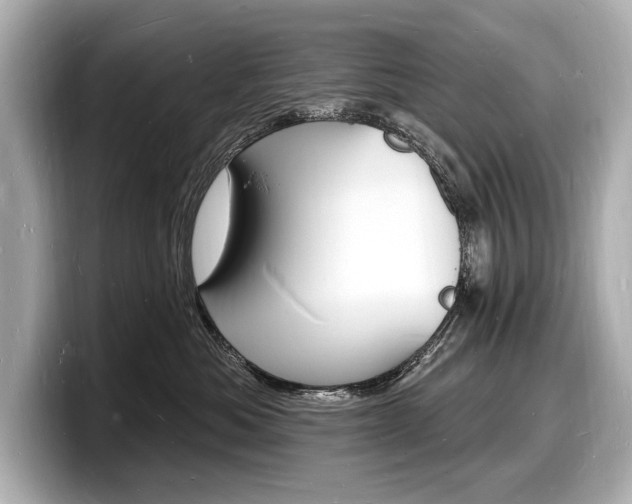 X0000098230525200804241204