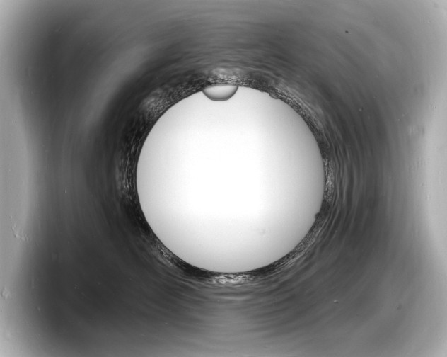 X0000098230526200804241204
