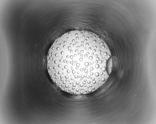 X0000098230527200804241204