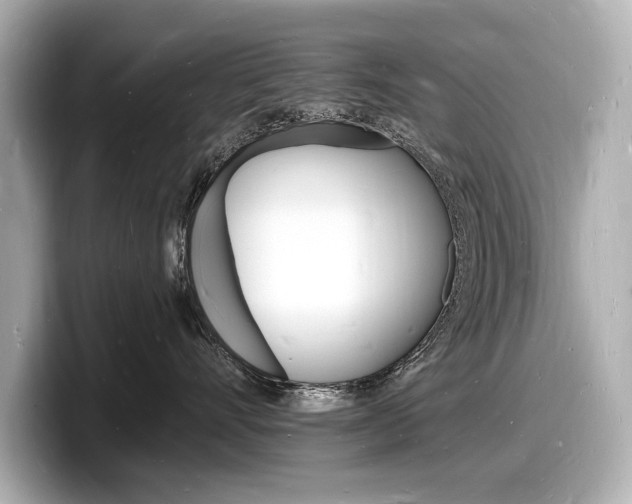 X0000098230528200804241204