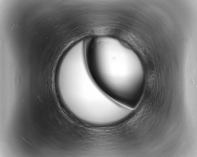 X0000098230530200804241203