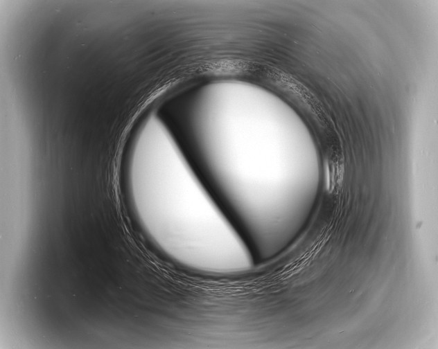 X0000098230531200804241203