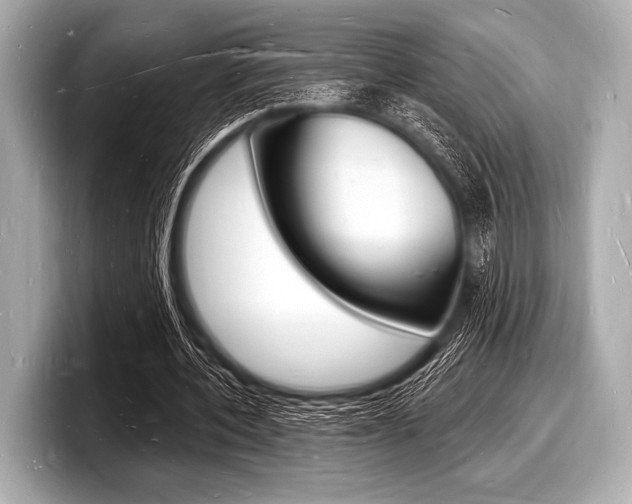 X0000098230532200804241203
