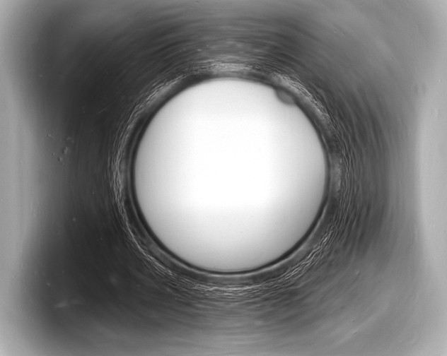 X0000098230533200804241203