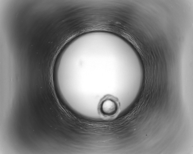 X0000098230534200804241203