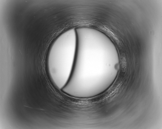 X0000098230537200804241203
