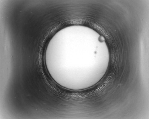 X0000098230538200804241203