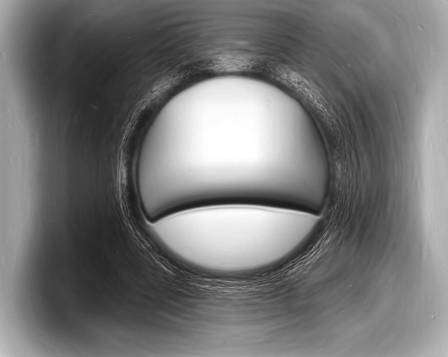 X0000098230539200804241203