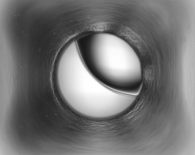 X0000098230540200804241203