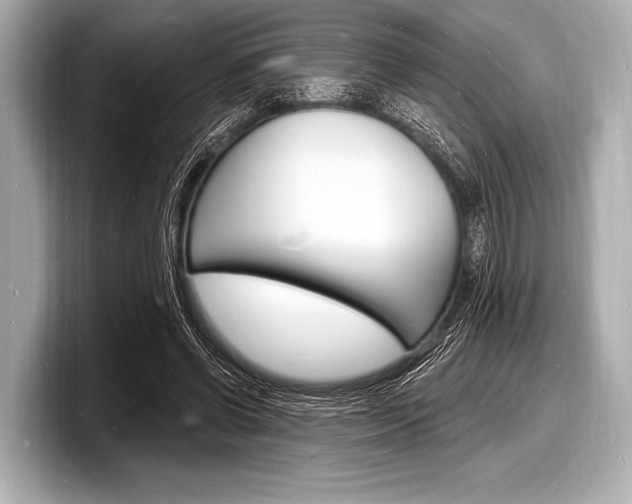 X0000098230542200804241203