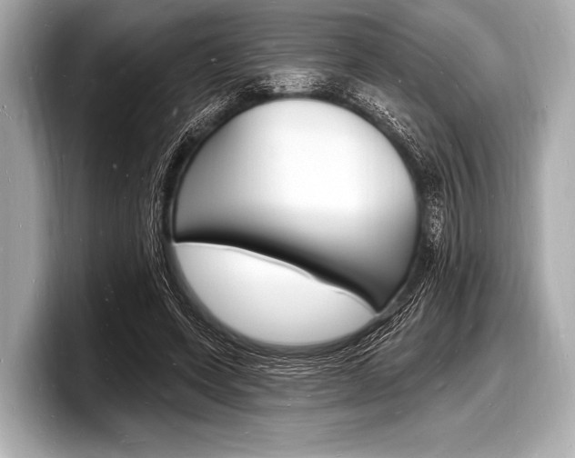 X0000098230543200804241203